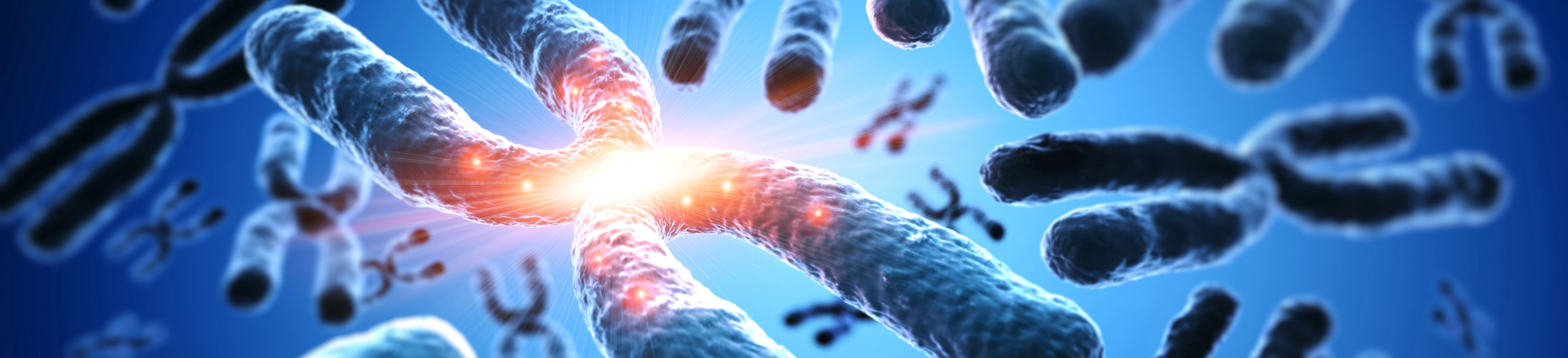 Cell Division Secrets