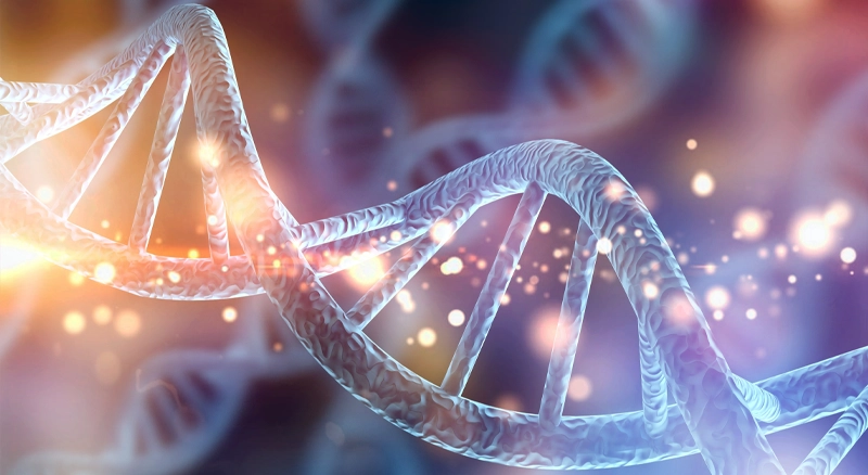 Cracking the Code of Life