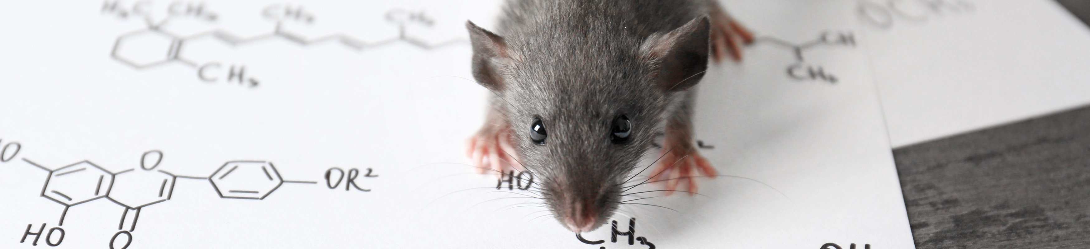 Griffith’s Breakthrough