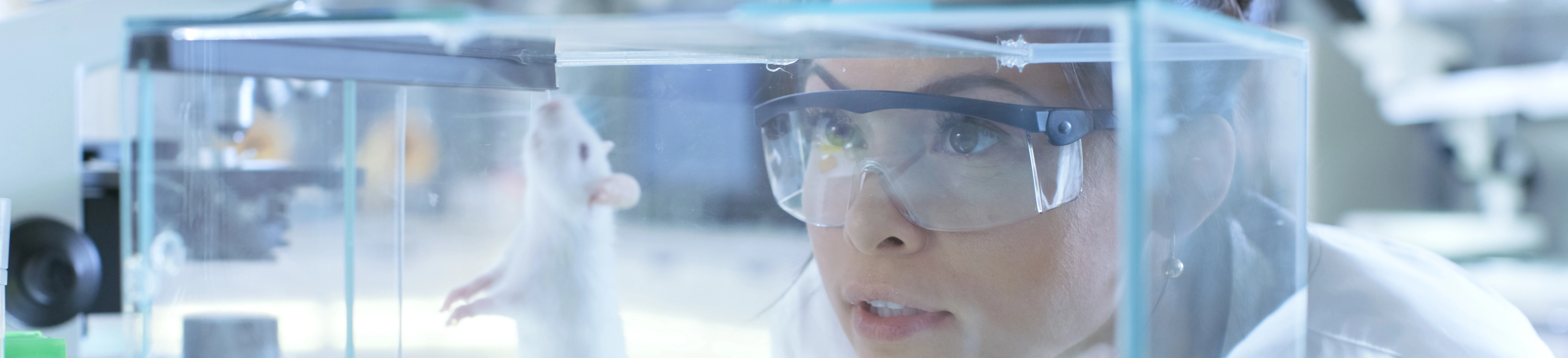 From Nanoparticles to Gene Regulation: New TB Breakthroughs