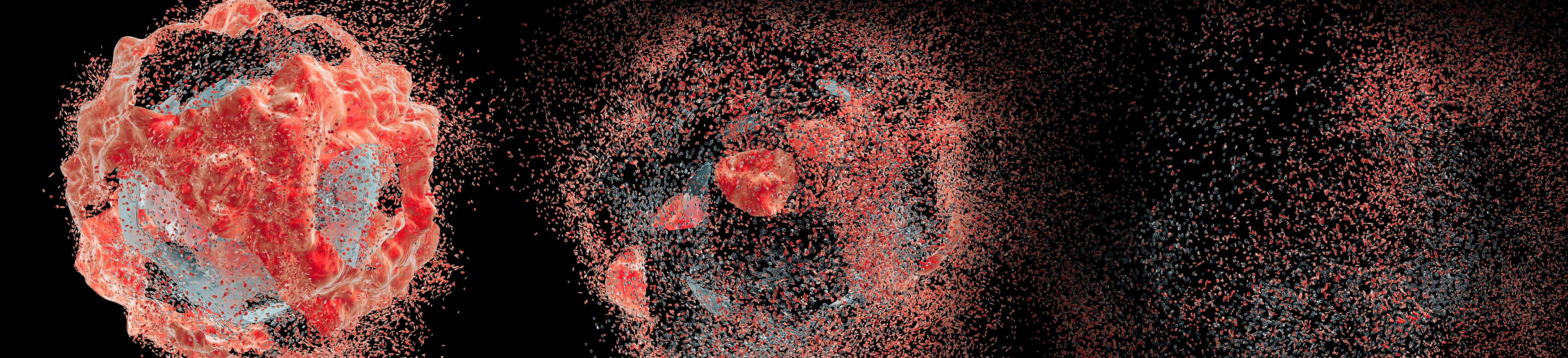 Undead but Active: Meet Zombosomes