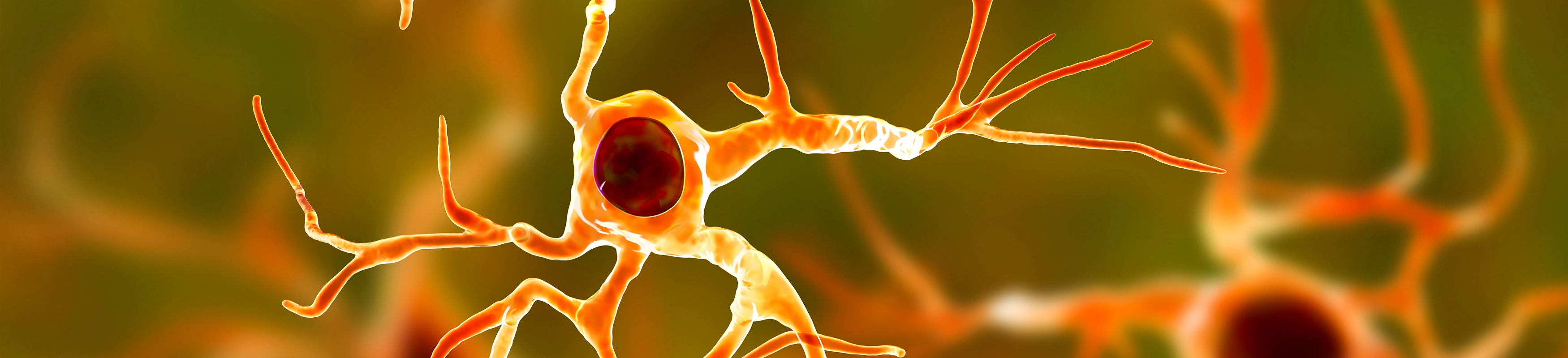 New Cellular Players in Parkinson’s Pathology